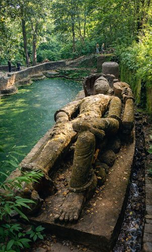 Shesh Shaiya Bandhavgarh National Park